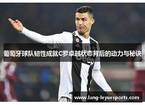 葡萄牙球队韧性成就C罗卓越状态背后的动力与秘诀 葡萄牙球队韧性成就C罗卓越状态背后的动力与秘诀