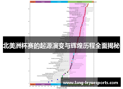 北美洲杯赛的起源演变与辉煌历程全面揭秘