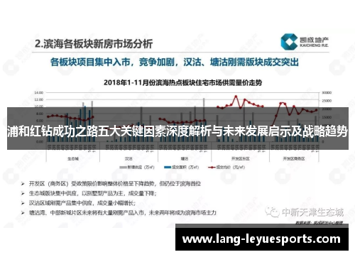 浦和红钻成功之路五大关键因素深度解析与未来发展启示及战略趋势