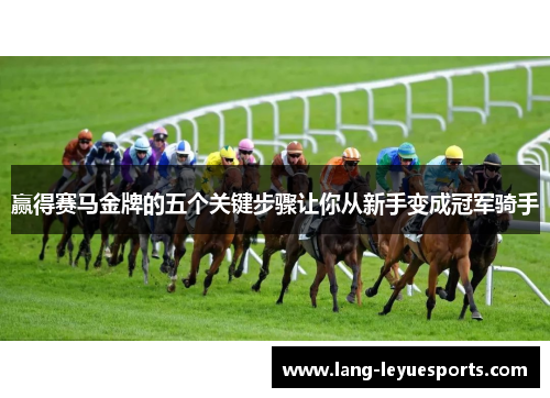 赢得赛马金牌的五个关键步骤让你从新手变成冠军骑手
