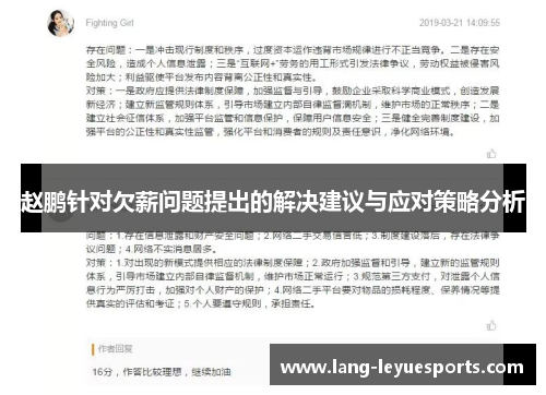 赵鹏针对欠薪问题提出的解决建议与应对策略分析 赵鹏针对欠薪问题提出的解决建议与应对策略分析