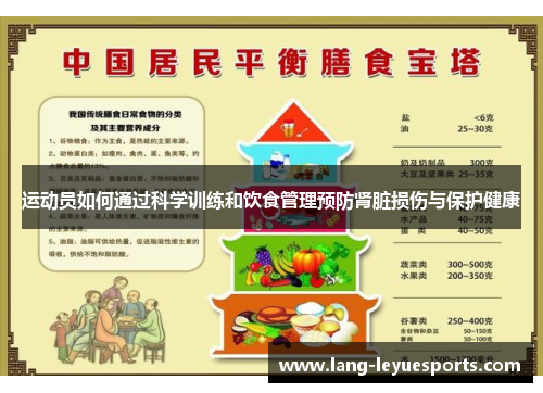 运动员如何通过科学训练和饮食管理预防肾脏损伤与保护健康 运动员如何通过科学训练和饮食管理预防肾脏损伤与保护健康
