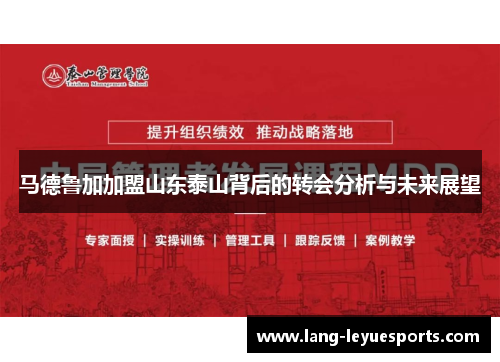 马德鲁加加盟山东泰山背后的转会分析与未来展望